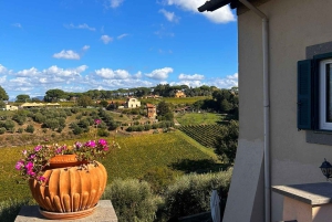 Au départ de Rome : Visite d'une demi-journée à Frascati avec déjeuner à la ferme