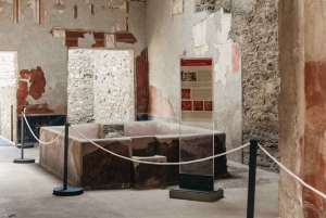 ローマからポンペイとヴェスヴィオ山 日帰りツアー（昼食付