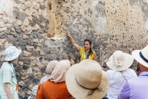 ローマからポンペイとヴェスヴィオ山 日帰りツアー（昼食付