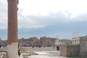 From Rome: Pompeii and Naples, Full Day Tour with Lunch
