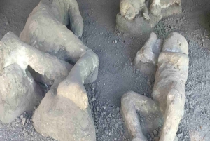 From Rome: Pompeii and Naples, Full Day Tour with Lunch