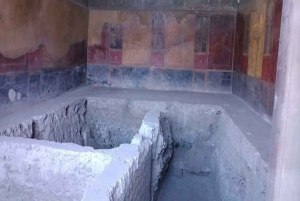 From Rome: Pompeii and Naples, Full Day Tour with Lunch