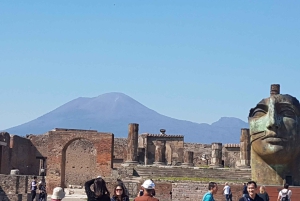 From Rome: Pompeii and Naples, Full Day Tour with Lunch