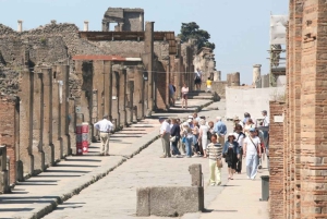 From Rome: Pompeii and Naples, Full Day Tour with Lunch