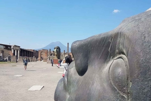 From Rome: Pompeii and Naples, Full Day Tour with Lunch