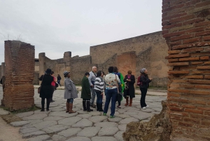 From Rome: Pompeii and Naples, Full Day Tour with Lunch