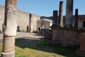 From Rome: Pompeii and Naples, Full Day Tour with Lunch