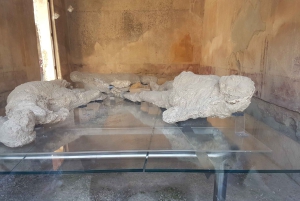 From Rome: Pompeii and Naples, Full Day Tour with Lunch