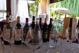 ローマ発シエナとサン・ジミニャーノ、トスカーナワイン日帰りツアー