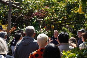 From Rome: Sorrento & Pompeii Day Trip with Guide or Ticket