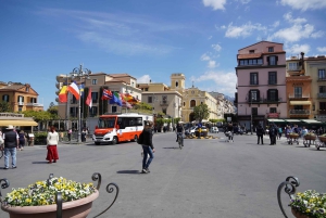 From Rome: Sorrento & Pompeii Day Trip with Guide or Ticket