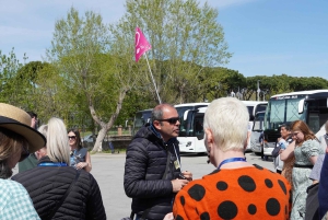 From Rome: Sorrento & Pompeii Day Trip with Guide or Ticket