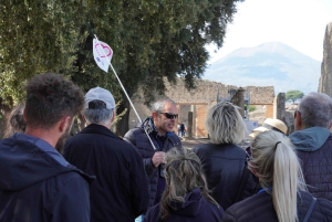 From Rome: Sorrento & Pompeii Day Trip with Guide or Ticket