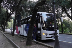 From Rome: Sorrento & Pompeii Day Trip with Guide or Ticket