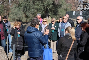 From Rome: Villa D'Este and Hadrian's Villa Tivoli Day Tour
