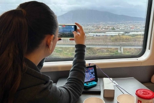 ポンペイ・エクスプレスローマからの高速列車