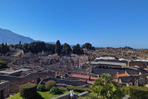 ポンペイ・エクスプレスローマからの高速列車