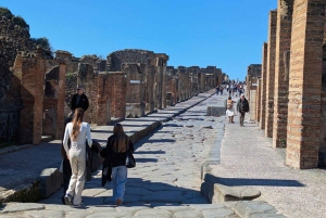 ポンペイ・エクスプレスローマからの高速列車