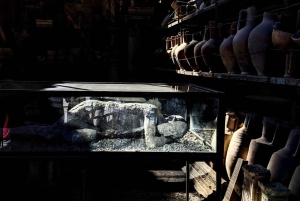 ポンペイ・エクスプレスローマからの高速列車