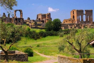 Rom: Appian Way och katakomberna Appian Way och katakomberna VIP-tur med upphämtning från hotell