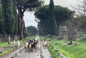 Rom: Appian Way och katakomberna Appian Way och katakomberna VIP-tur med upphämtning från hotell