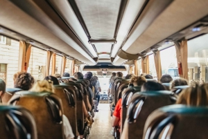 Rome: Bus Transfer Between Airport and Rome Termini Station