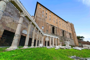 Rom: Colosseum Arena, Forum & Palatinerhøjen Guidet tur