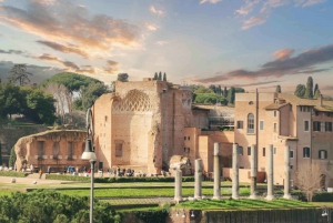 Rom: Colosseum Arena, Forum & Palatinerhøjen Guidet tur