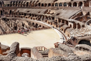 Rom: Guidet tur til Colosseum, Palatinerhøjen og Forum