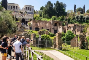 Rom: Guidet tur til Colosseum, Palatinerhøjen og Forum