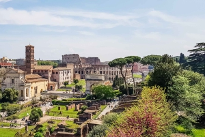 Rom: Guidet tur til Colosseum, Palatinerhøjen og Forum