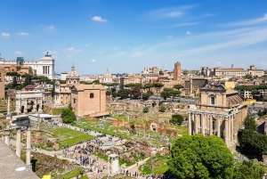 Rom: Guidet tur til Colosseum, Palatinerhøjen og Forum