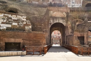 Rom: Guidet tur til Colosseum, Palatinerhøjen og Forum