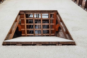 Rom: Guidet tur til Colosseum, Palatinerhøjen og Forum