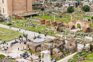 Rome: Colosseum, Forum, Palatine Hill Entry & Audioguide App