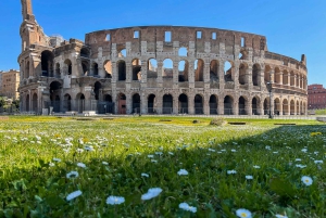 Rzym: wycieczka po Koloseum z dostępem do areny gladiatorów