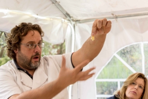 Rome: Combo Pizza and Pasta Cooking Class with Wine