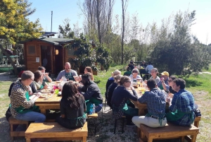 Rome: Combo Pizza and Pasta Cooking Class with Wine