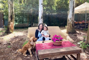 Rome: Combo Pizza and Pasta Cooking Class with Wine