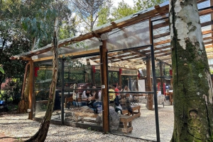 Rome: Combo Pizza and Pasta Cooking Class with Wine