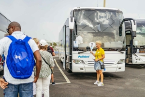 Rome On Your Own: Bus Transfer from Civitavecchia