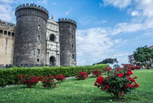 ローマ：ポンペイ入場券付きポンペイとナポリ日帰り旅行