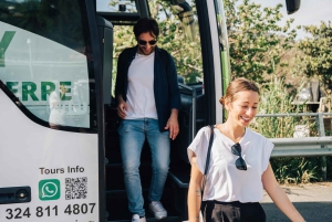 ローマ：ポンペイ入場券付きポンペイとナポリ日帰り旅行