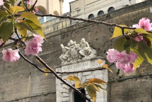 Roma: Tour particular pelos Museus do Vaticano e Capela Sistina.