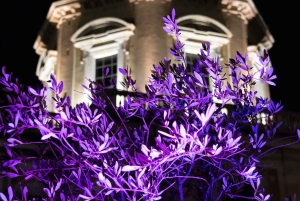 Roma: Santa Maria Maggiore Áreas Superiores Ingresso sem fila