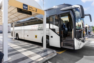 Shuttle Bus Transfer to or from Ciampino Airport