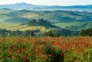 Rome: Tuscany & Montepulciano Day Trip with Lunch & Wines