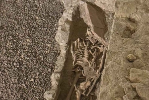 Roma: tour guiado por la Necrópolis Vaticana y la Vía Triunfal