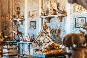 Tickets de entrada sin colas a los Museos Vaticanos y la Capilla Sixtina