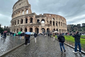 Guidad tur i liten grupp Colosseum Forum Romanum, Palatinen